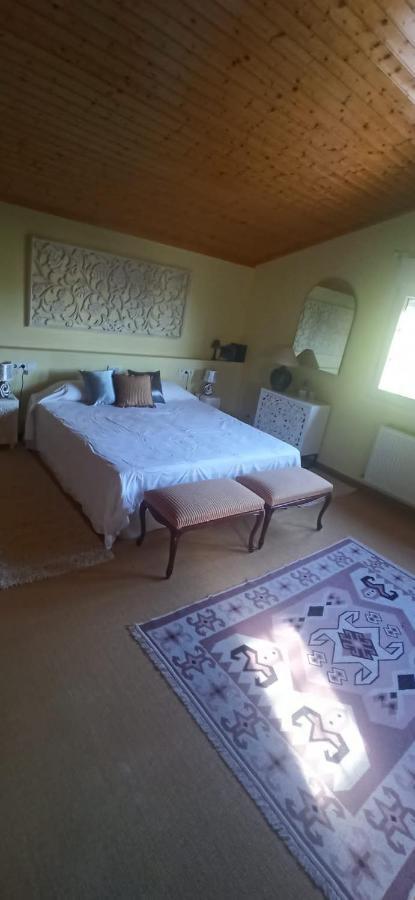 Vivienda El Olivo con piscina privada y jardín. Vila Ayegui Exterior foto
